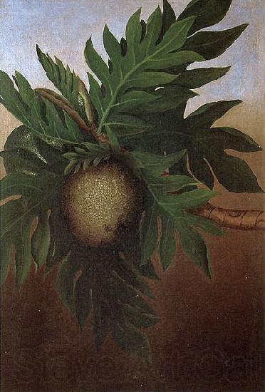 unknow artist Hawaiian Breadfruit, oil on canvas painting by Persis Goodale Thurston Taylor, c. 1890 Germany oil painting art